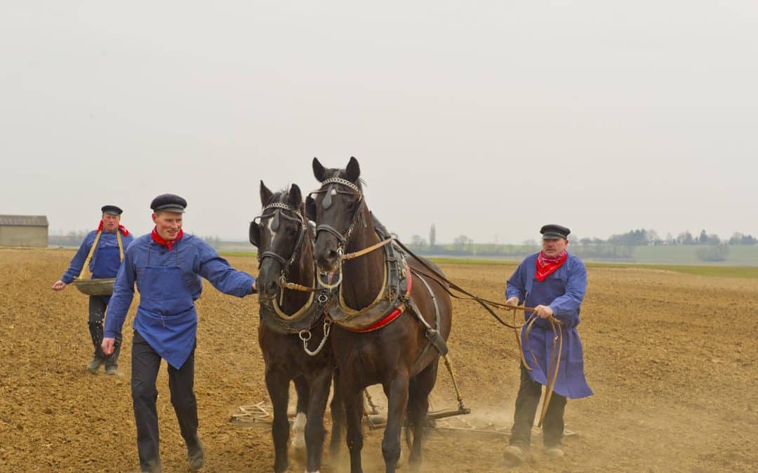 Landwirten ist mit Beitragsstundung geholfen