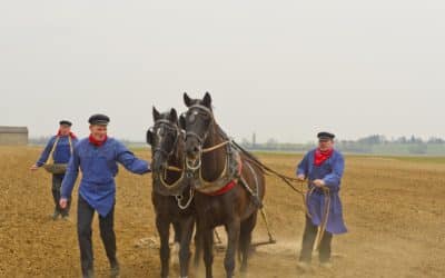 Landwirten ist mit Beitragsstundung geholfen