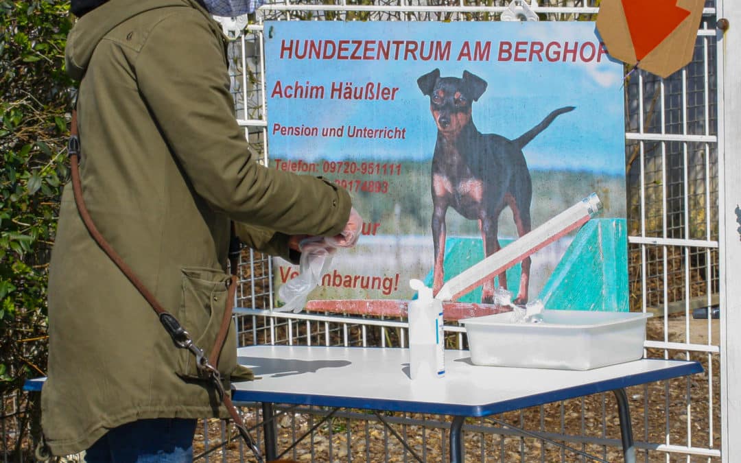 Mit guten Ideen und Kreativität durch die Krise