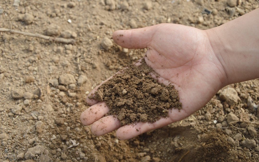 Kompostanlage Gerolzhofen: Erweiterte Öffnungszeiten verlängert bis 13. Juni