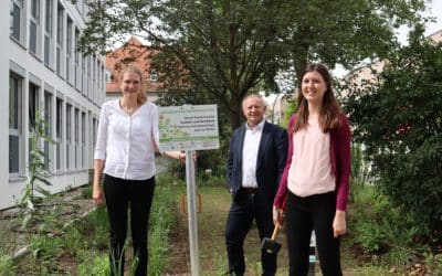Landratsamt Bad Kissingen blüht auf