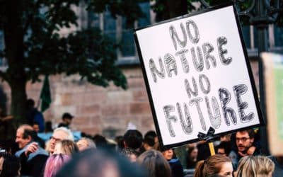 GRÜNE fordern Klimaschutzmanager*in für den Landkreis