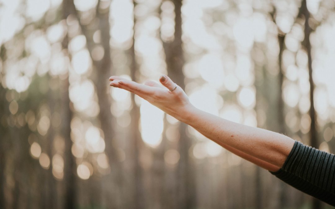 Yoga für Senioren im Wald