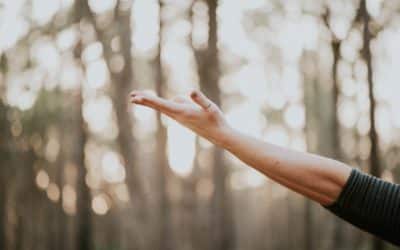 Yoga für Senioren im Wald
