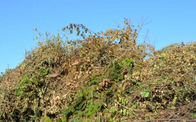 Frühjahrs-Häckselaktion im Landkreis Schweinfurt