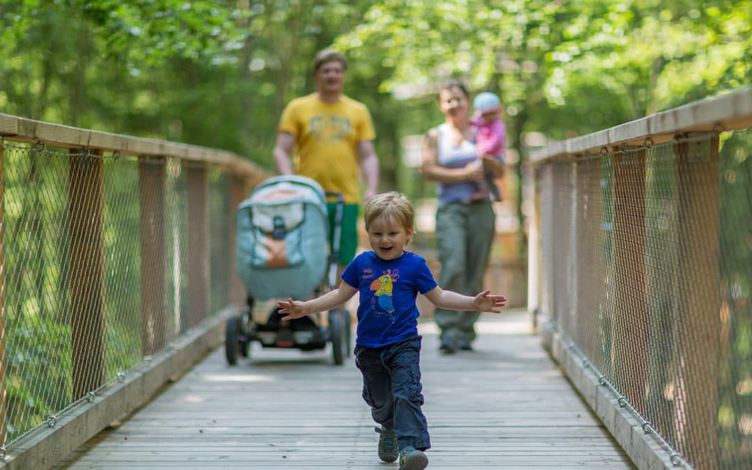 Baumwipfelpfad Steigerwald ab 11. März wieder geöffnet