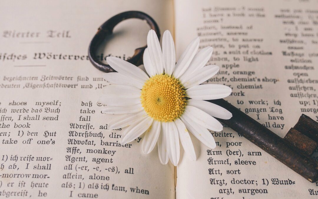 Berufsbild Übersetzer. Wichtige und interessante Fakten