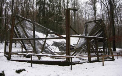 Schneefall führt zu Einsturz des Uhu-Geheges im Wildpark Klaushof