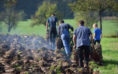 Kulturförderung des Landkreises unterstützt kleine und große Projekte in den Gemeinden
