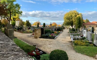 Friedhof Gerolzhofen wird weiter gestaltet
