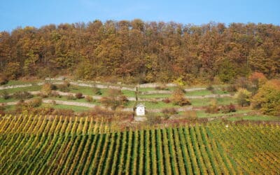 Landkreis Haßberge hat beim Freistaat Bayern Fördergelder in Höhe von 60.000 Euro beantragt