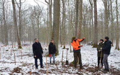 „Bäume für die Zukunft“: Sparkasse unterstützt die Pflanzaktion der Stadt Schweinfurt