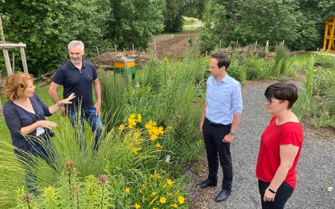 Liliendorf Lülsfeld: Bunte Lilienvielfalt als Markenzeichen der Gemeinde