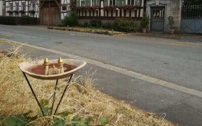 Kreisverband Gartenbau weist auf die Not der Tierwelt im trockenen Frühsommer hin