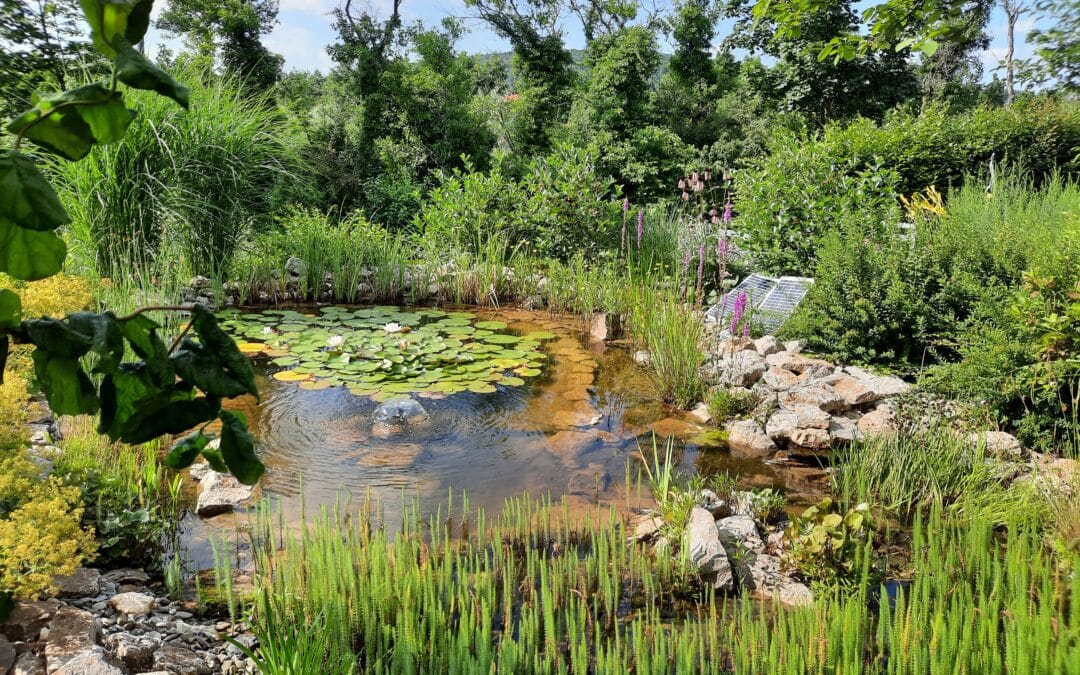 Wettbewerb „Natur im Garten“ geht in die Verlängerung