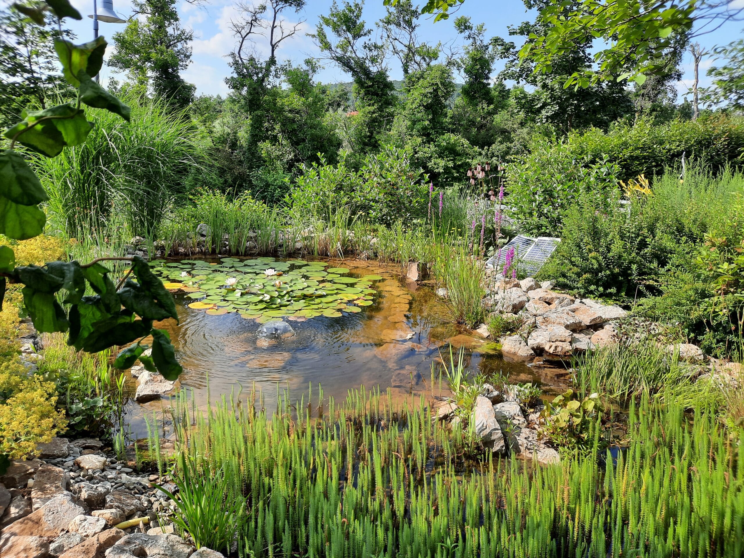 Wettbewerb „Natur im Garten“ geht in die Verlängerung