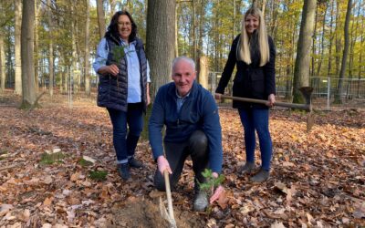 „Grow together“: SKF-Mitarbeiterinnen und Mitarbeiter lassen Klimawäldchen wachsen