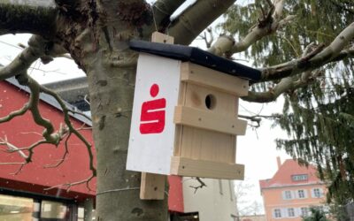 Jacob-Curio-Realschule verhilft Unternehmen zu gefiederten „Mitarbeitern“