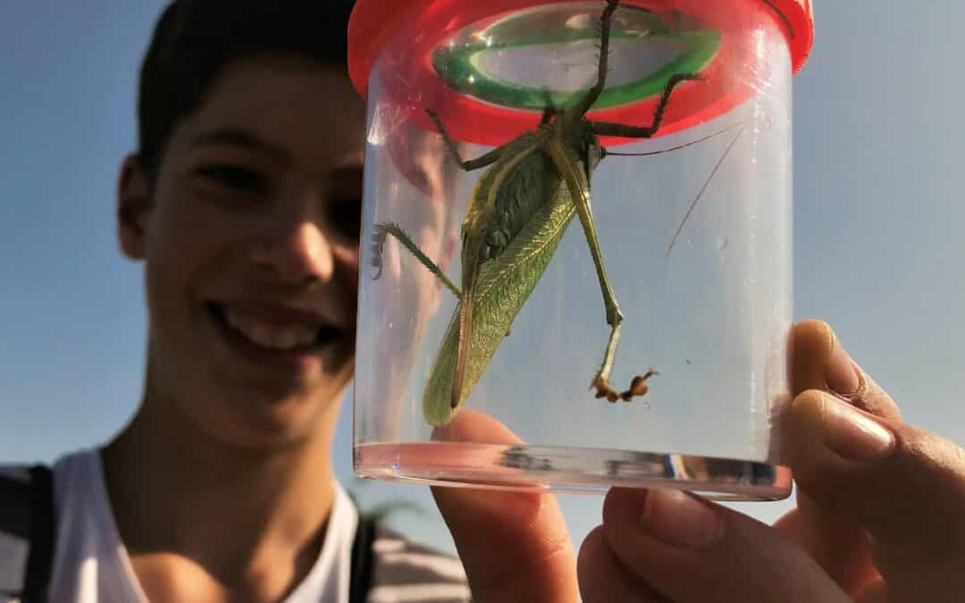 Fachpraxis für Jugendliche auf den Bauernhof