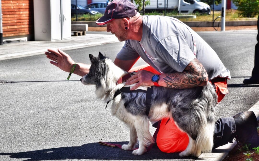 Helfer auf vier Pfoten