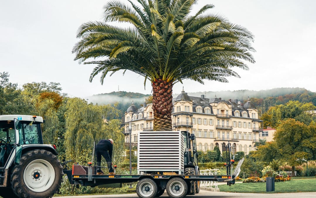Die goldene Jahreszeit im herbstlichen Glanz