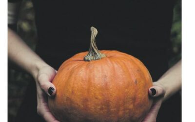 SWmagazin Oktober 2023 ist online