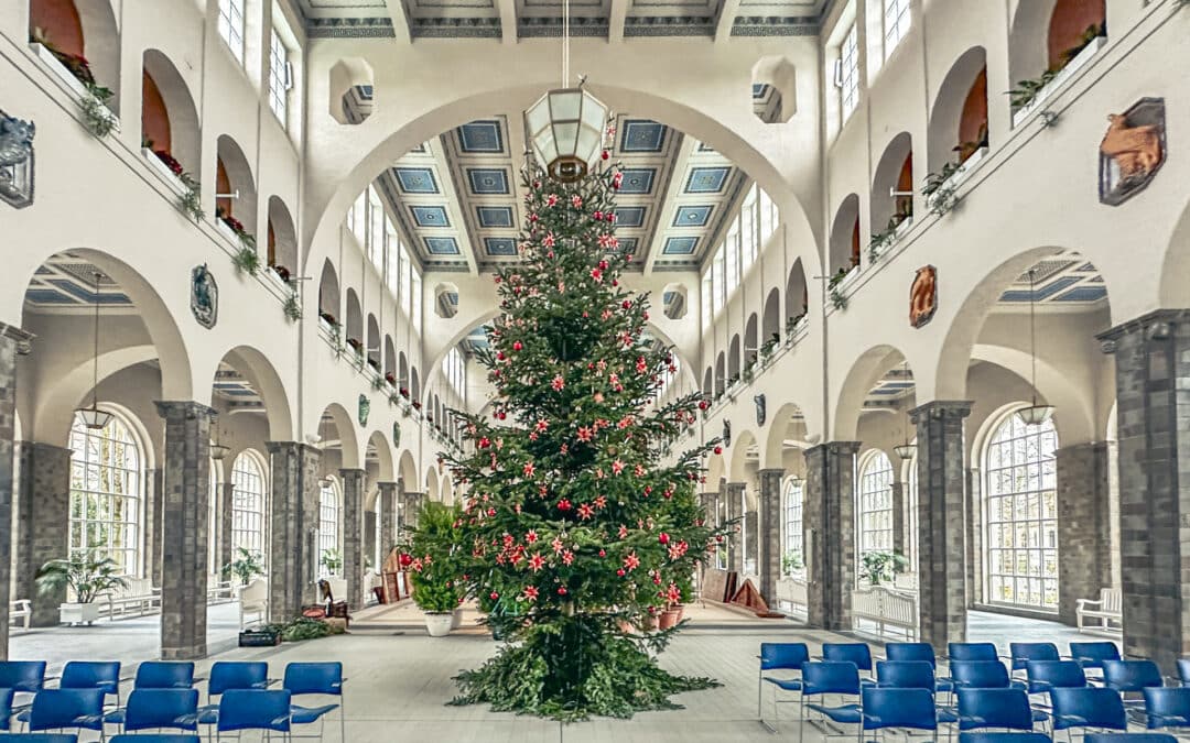 Dekorationen verströmen adventliches Flair