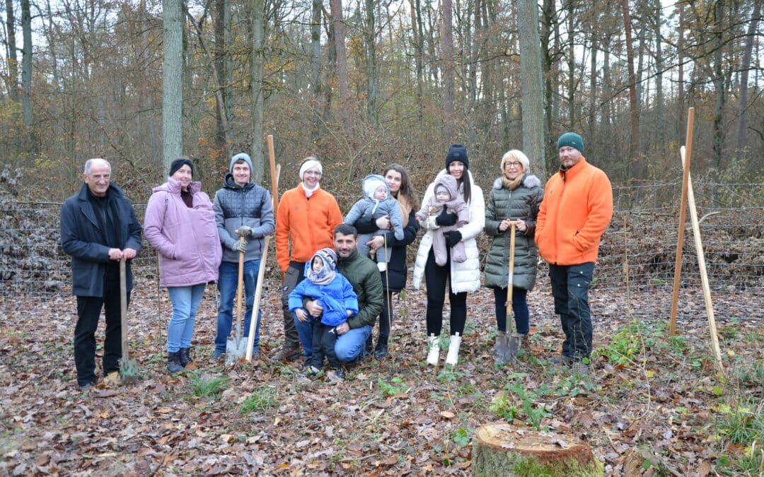 „Bäume für die Zukunft“: Sparkasse unterstützt die Pflanzaktion der Stadt