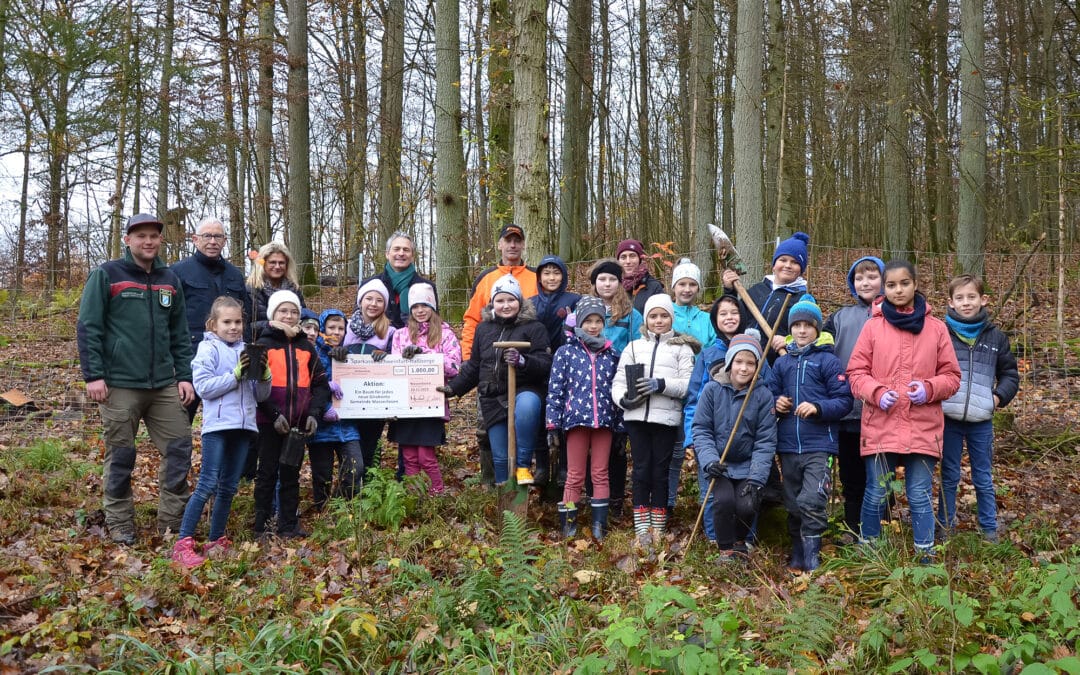 Ein Baum für jedes neue Girokonto
