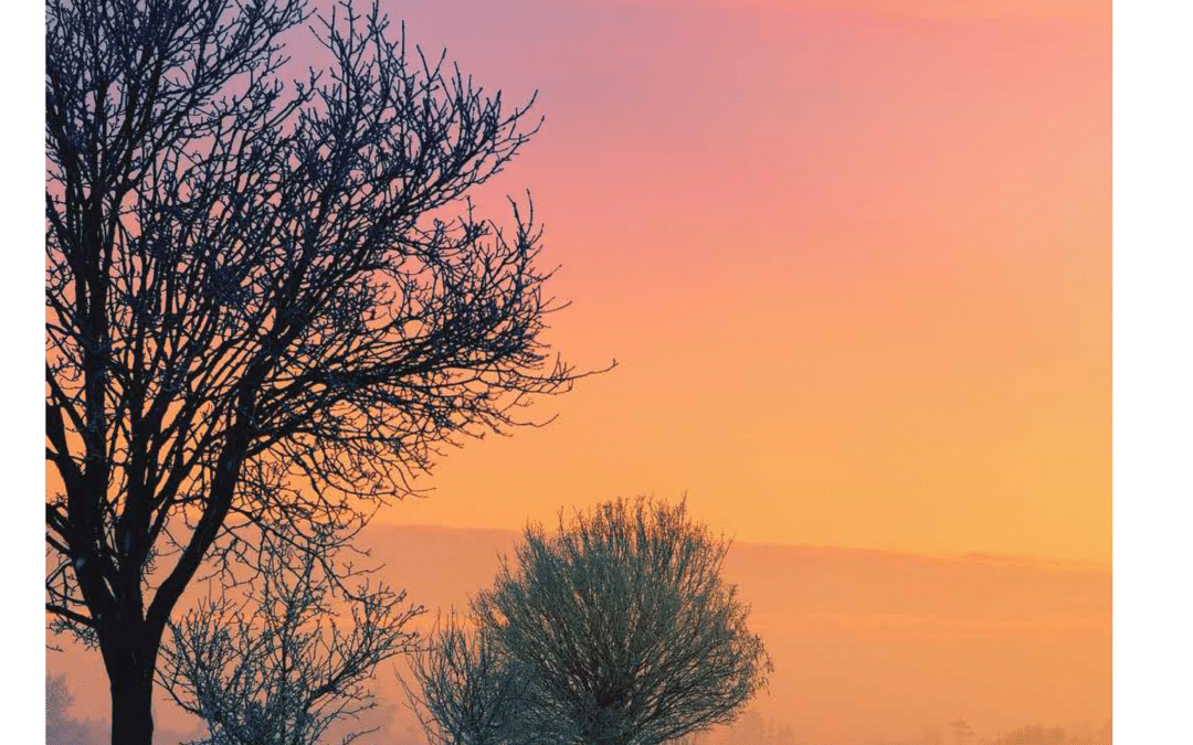 SWmagazin Dezember 2023 ist online