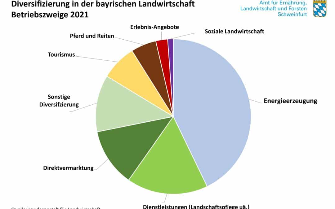 Wertewoche an der Landwirtschaftsschule