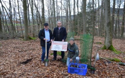 Nachhaltigkeitsaktion „Ein Baum für jedes neue Girokonto“