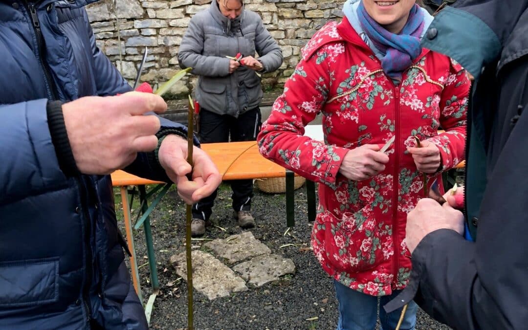 Alte Obstsorten durch Veredeln erhalten