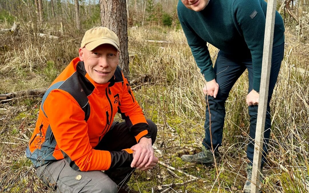 Anpflanzungen im Bürgerwald