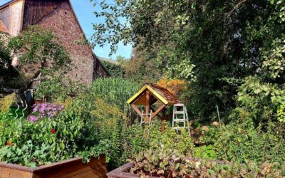 Am 9. Juni 2024 öffnen in Oberthulba 13 Gartenparadiese