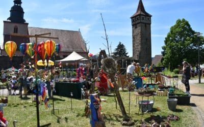 Ostheimer Kirchenburg verwandelt sich in ein Blütenmeer