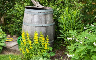 Nachhaltiges Wassermanagement im Garten: Tipps vom Gartenbauexperten des BLGL