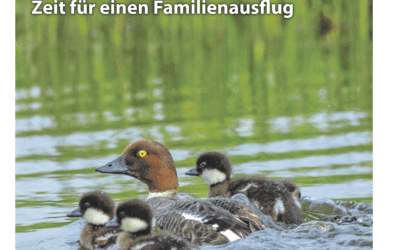SWmagazin Juni 2024 ist online