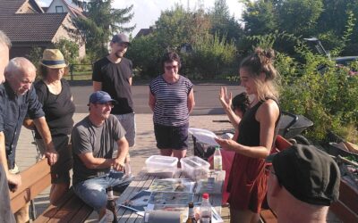 Wildbienen willkommen: Nisthügel in Poppenroth schafft neuen Lebensraum