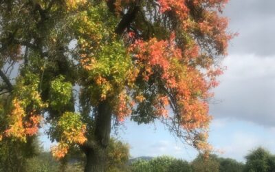 Was man kennt, das schätzt man