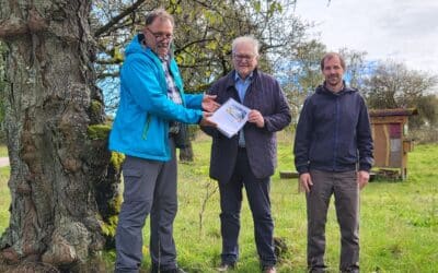 Alte regionale Sorten und Kirsch-Raritäten