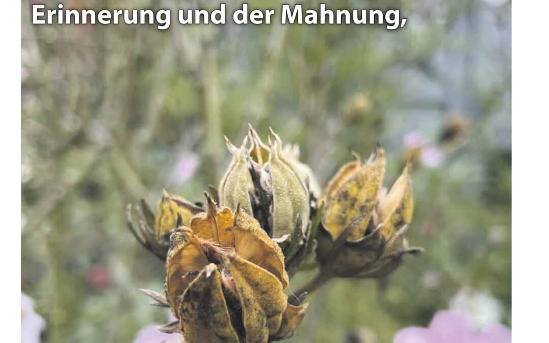 SWmagazin November 2024 ist online