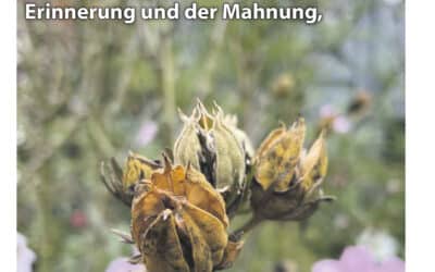 SWmagazin November 2024 ist online