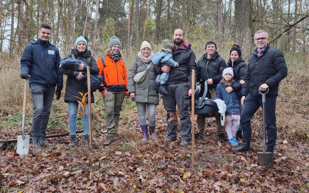 „Bäume für die Zukunft“: Sparkasse Schweinfurt-Haßberge setzt Engagement für Pflanzaktion der Stadt Schweinfurt fort