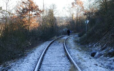 Dezember 1999 – In 14 Tagen den Freischnitt der Mainschleifenbahn geschafft