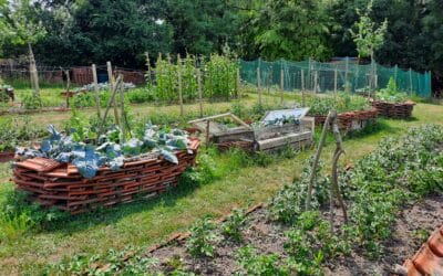 Der Kreisverband für Gartenbau und Landespflege Haßberge sucht interessierte Gartenbesitzer, die sich weiterbilden wollen
