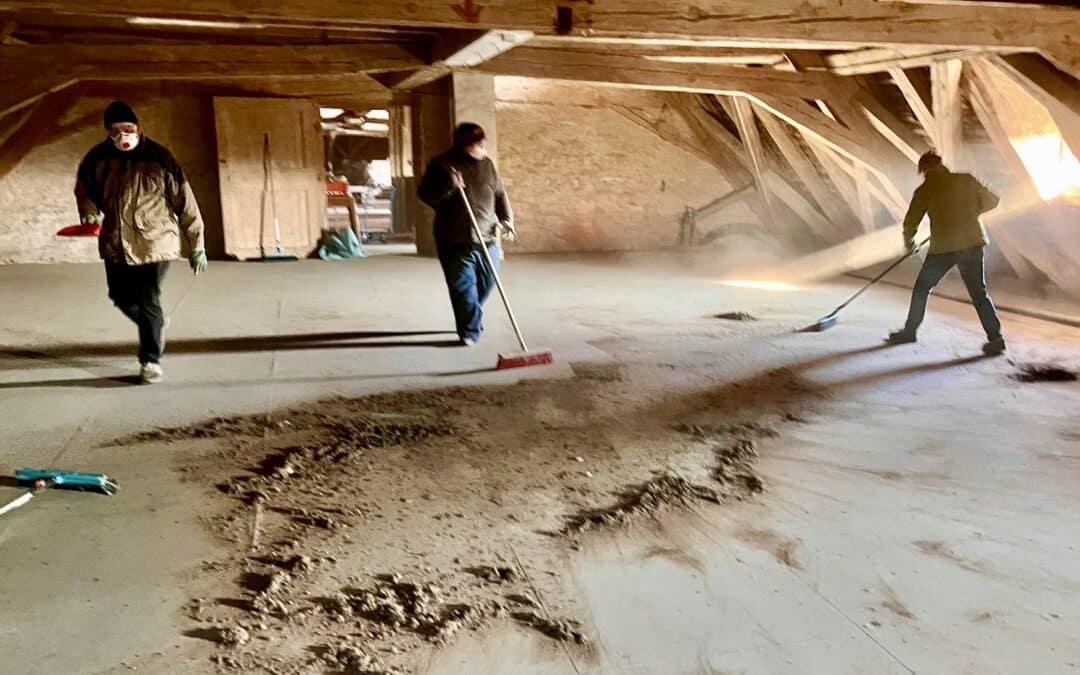 Großes Mausohr: Winterputz für eines der bedeutendsten Sommerquartiere Bayerns
