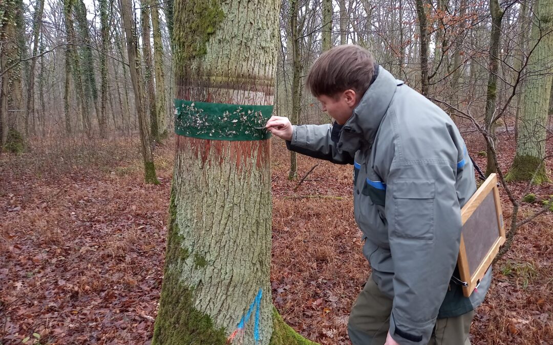 Spanner und Spinner werden von der Landesanstalt überwacht