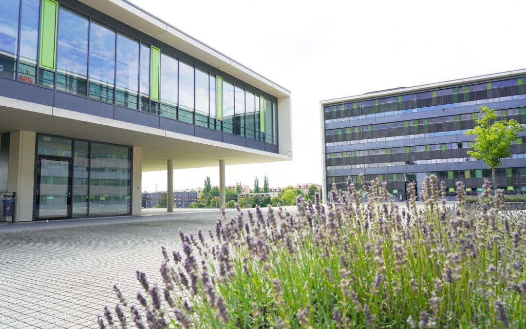 Kommunikationsdesign: Tag der offenen Tür an der THWS