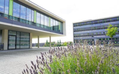 Kommunikationsdesign: Tag der offenen Tür an der THWS